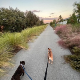With a half mile nature trail Citria is the perfect place to get outside. Instagram post from @citrialiving on October 15, 2024 00:00:00am